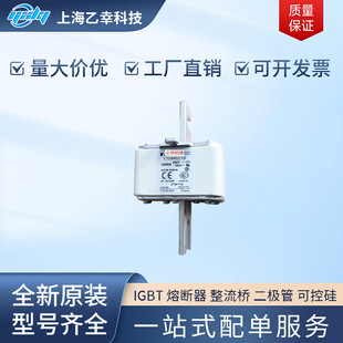 Basman fuse 170 M6 219 170 M6 220 170 M6 221 170 M6 229 170 M6238