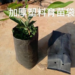 Black Thickeneded Pe Seedling Bag Citrus Nutrition Cup Nutrition Bowl Fruit Seedling Cup Bonsai Planting Bag Wholesale
