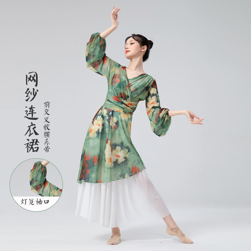 古典舞练功服女新款网纱连衣裙前开叉系带中国风舞蹈日常演出服装|undefined