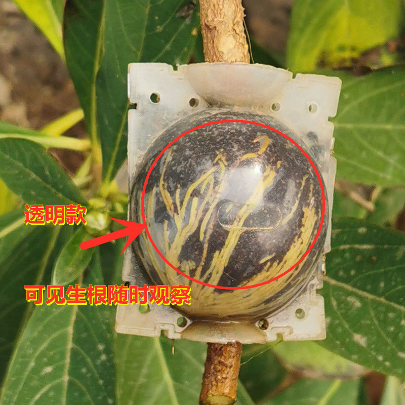 1619967068665_副本