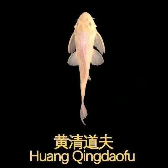 Live Ornamental Fish Waste Sucker Cheap Tropical Tool Easy to Feed Clean Fish Tank Cleaner