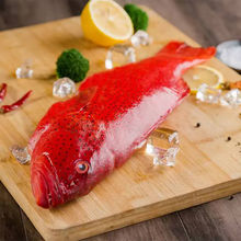深海东星斑鲜活速冻红石斑鱼零食澳东刺身级没小刺肉嫩辅食包邮