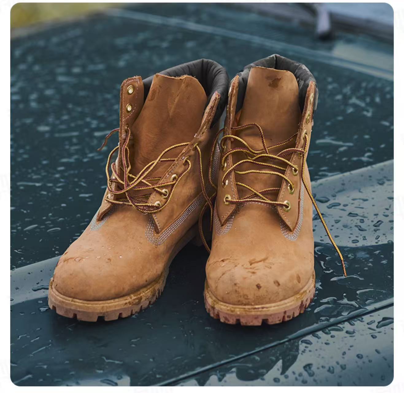 微信图片_20251029203154_384_24