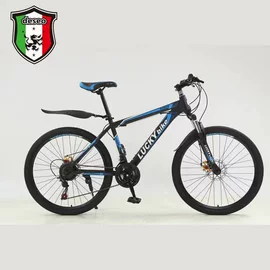 电动三轮车;山地自行车;其他电动车