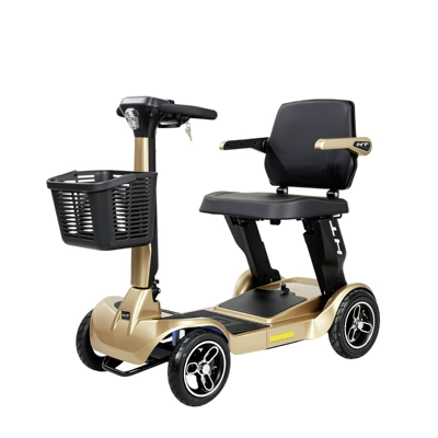 vehicle, designed for seniors, a, Qatlanan elektrik velosipedlər - champagne-gold-250w-ternary-lithium-battery-24v12a