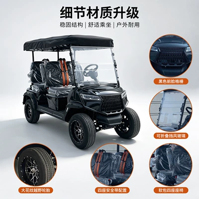Elektrik qolf avtomobilləri export, lithium battery/lead-acid model