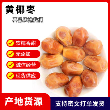 【代发】新货黄椰枣500g大颗粒黄金椰枣蜜枣干软糯香甜椰枣代发