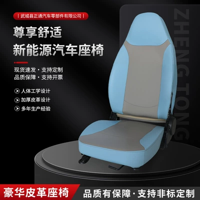 Manufacturer's All-Season Universal Model Driver's Single Seat, Front Seat, Double Seat, New Integrated Seat, Thickened Electric Four-Wheel Vehicle Seat