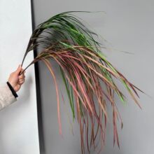 mܛbֲGֲ쾰b켚m~ˮݷ