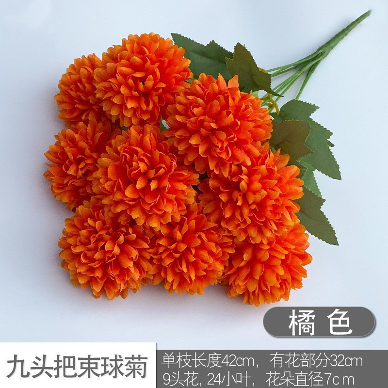 Nine -headed ball chrysanthemum orange