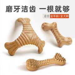 Fofos二匹の福狸犬のおもちゃは歯磨き棒で歯磨きをします。