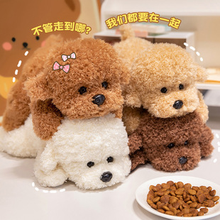 �ɐ�̩�Ϲ�ë�q��߹�����ż����С�������������˯���ތ����H