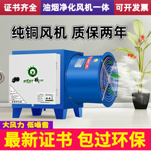 油烟净化器静电式饭店厨房小型风机一体机商用餐饮烧烤家用除烟无