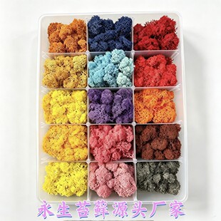 ����̦�\�Z¹�\ֲ����΢���^���b�DIY�o�ďS�����l����Y��