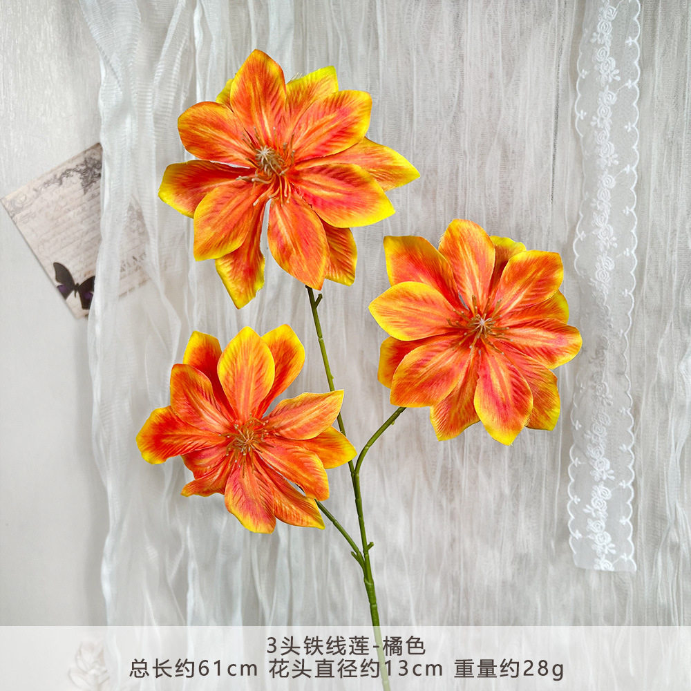 Clematis đầu MJ-3 - Màu cam