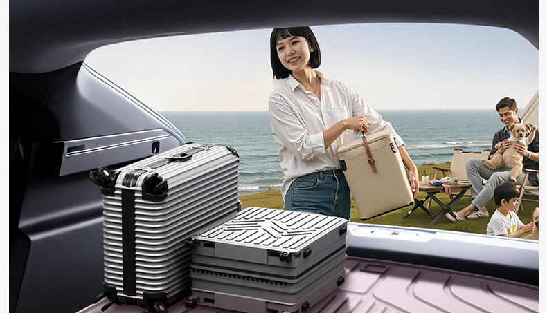 Suitable for BYD Qin MAX EV/DMi trunk mat TPE26 model interior decoration modification kit