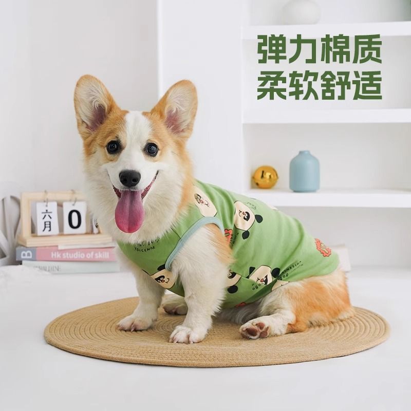 e2f14bdb-9cb0-4201-9e8c-f7075b10036d.jpe