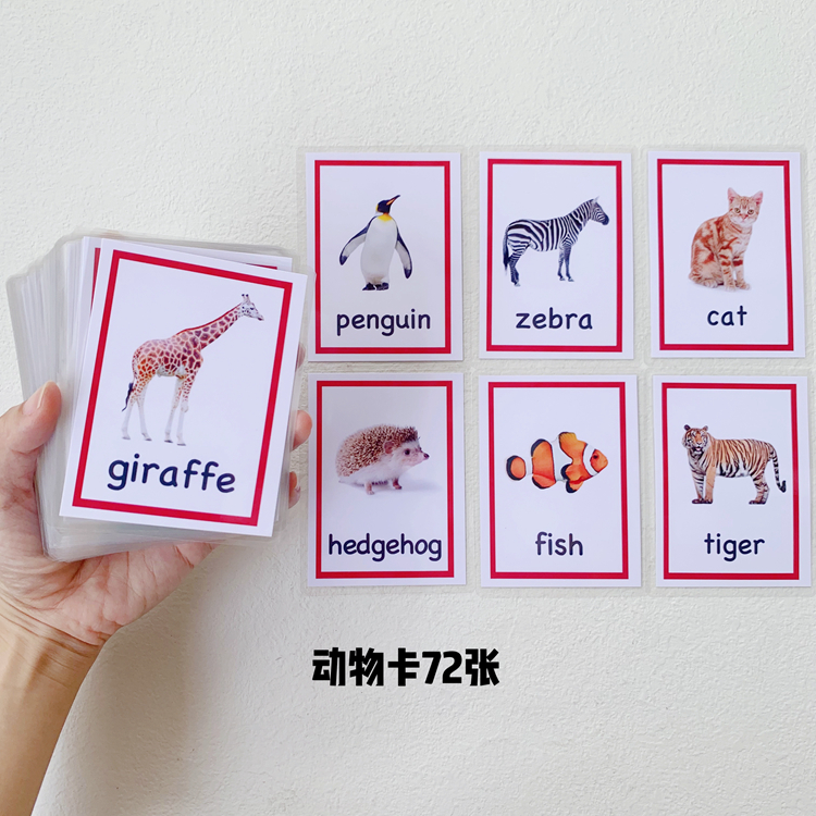 英语卡片闪卡animal动物卡72张儿童实物图单词卡早教启蒙教师教具-阿里巴巴