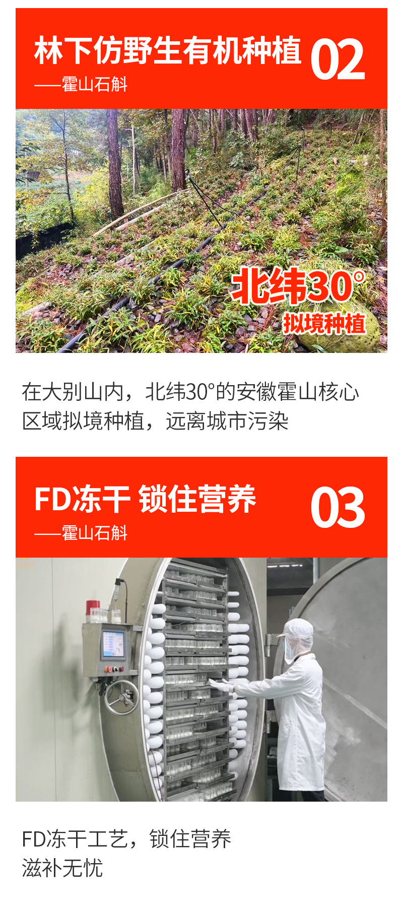 Freeze-Dried Dendrobium (Dendrobium officinale) — Huoshan Shi Hu, Ready-to-Eat Herbal Wellness key features
