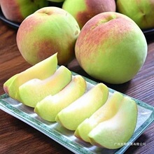 青州蜜桃毛桃脆桃新鲜桃子甜桃青桃硬桃脆甜桃子应季水果非水蜜桃