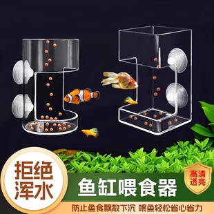 Fish Tank Feeder Small Fish Small Feeding Tube Fixed Transparent Acrylic Anti-Drift Suspended Feeding Tube