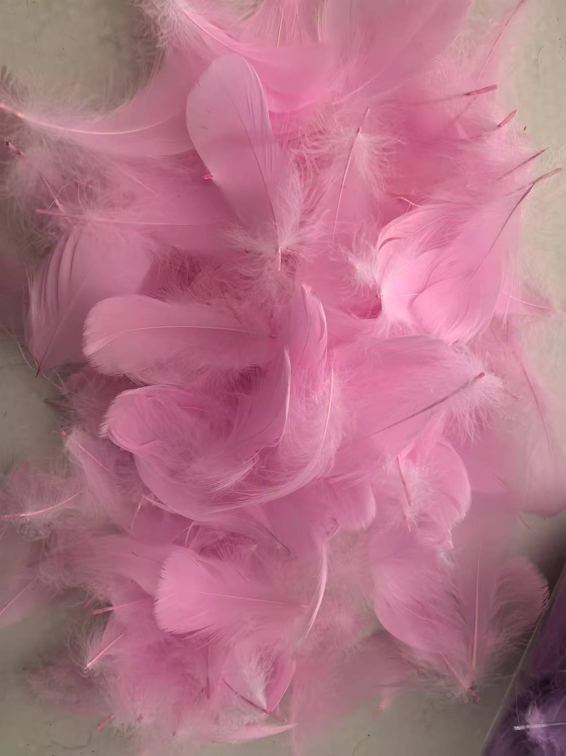 微信图片_20241222190054