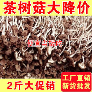 ���󽵃r����乽��؛500g�����خa���_���乽�����ٺ��Ҝ�20g
