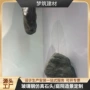 定制展厅仿石玻璃钢雕塑