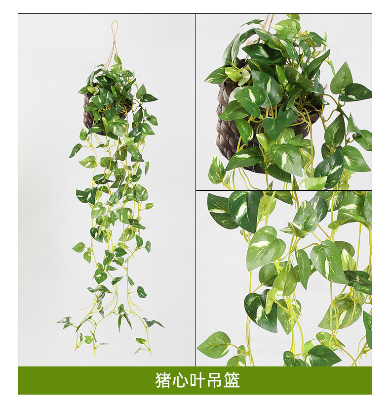 O1CN01PpZntu1zidKCM2Izl_!!2159