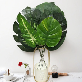 �����~����Gֲ�쾰�[���Ҿӱ����b����Ϸ����~�Ӽ�ֲ���~�����l