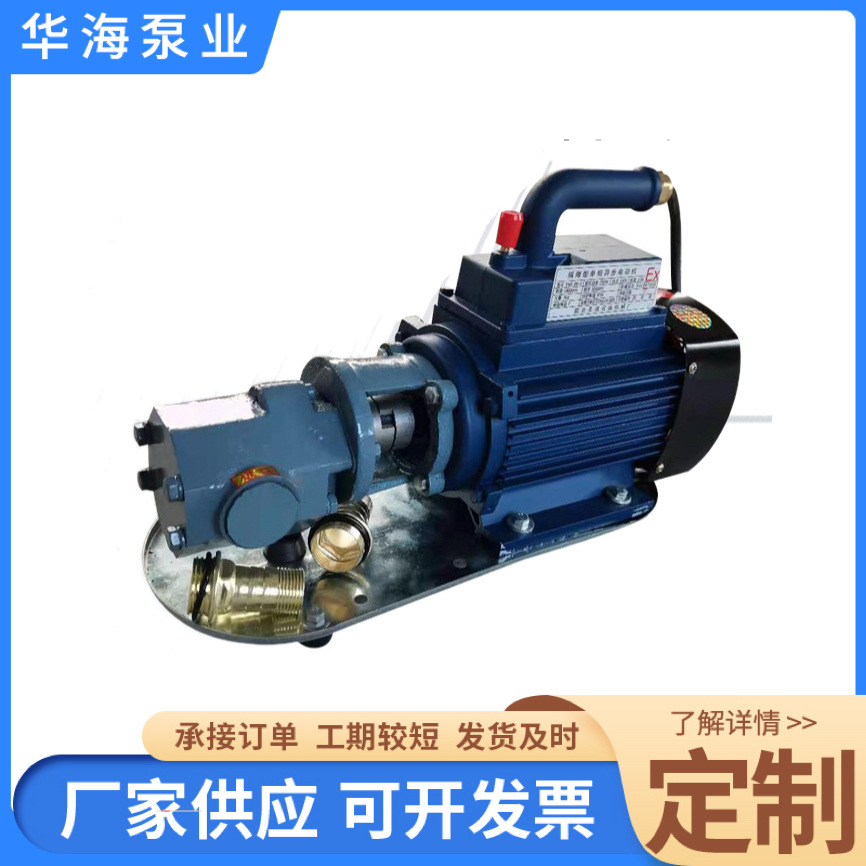 定制便携式齿轮泵柴油汽油防爆电动抽油泵WCB系列铸铁微型泵
