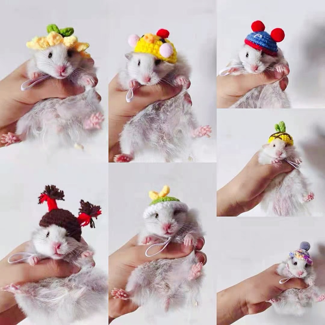 f69c045584500798ad7aa5ec479e62