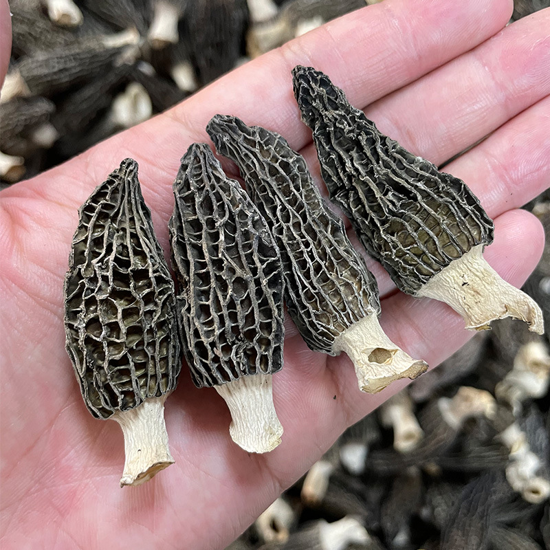 Dried Morel Mushroom 500g Yunnan Premium Grade 7-9cm Soup Ingredient in use