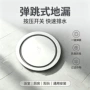 隐藏式防虫防臭按压地漏