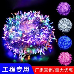 led灯串户外防水彩灯街道亮化户外满天星灯圣诞节防水节日 装饰灯