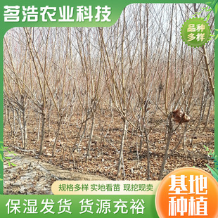 ���Ҙ���޽ӵ����Ҙ�����جF�ڬF�u�Ϸ������Nֲӳ˪�t�Ҙ���