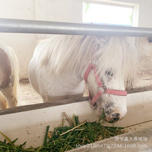 �^�p���R���^�T�˰��R���w���ۿ����T�ĵ±����R�r��С���R�Bֳ��