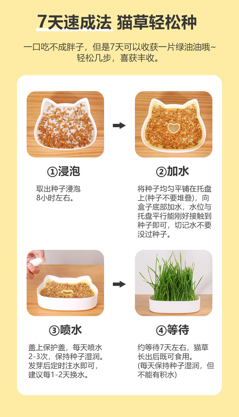 未标题-1_04.jpg