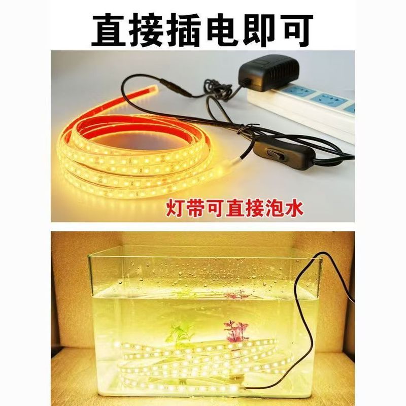 LEDソリッドシリコン防水ライト、低電圧24V、自己粘着性、カット可能、屋外エンジニアリング水中ソフトライトストリップ|undefined