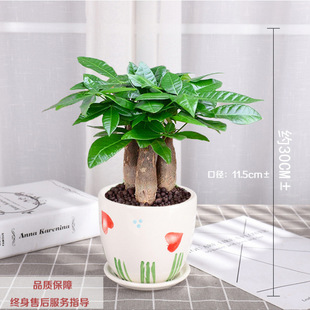 �lؔ�������҃ȿ͏d����GֲС�辰��lؔ������ؔ������ȩֲ��