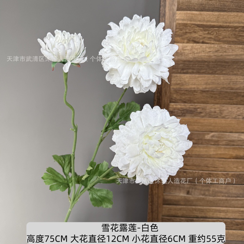 눈꽃 연꽃