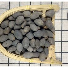 ��؛ʯɏ����ʯɏ���xʯɏ�⚤ɏ�ӎ�Ƥɏ����ɏ���Fɏ��