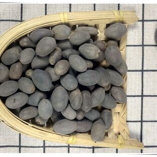 ��؛ʯɏ����ʯɏ���xʯɏ�⚤ɏ�ӎ�Ƥɏ����ɏ���Fɏ��