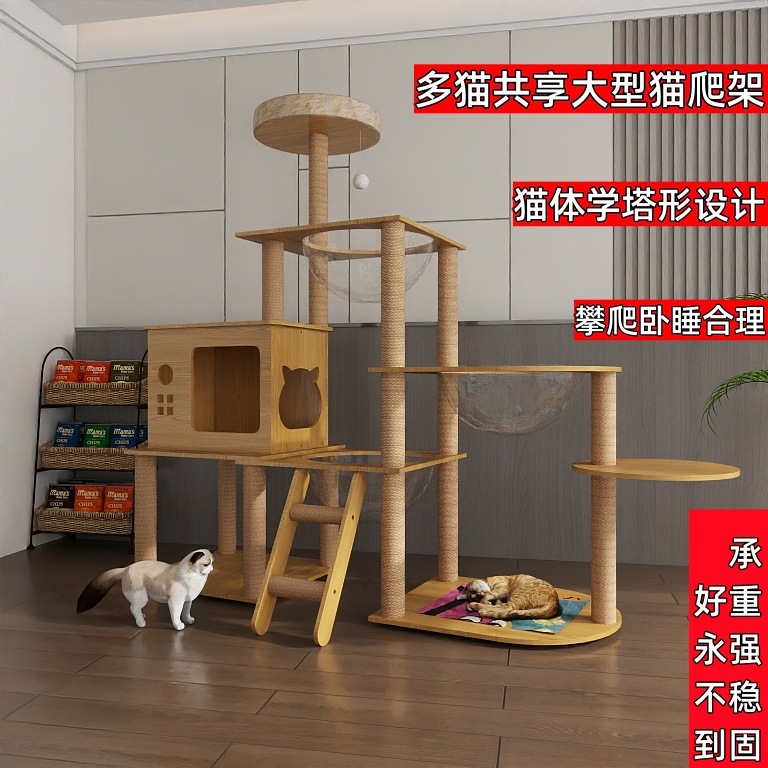 47ce46c4-b80d-4fd5-b7a7-6ef86df2ad4a.jpe