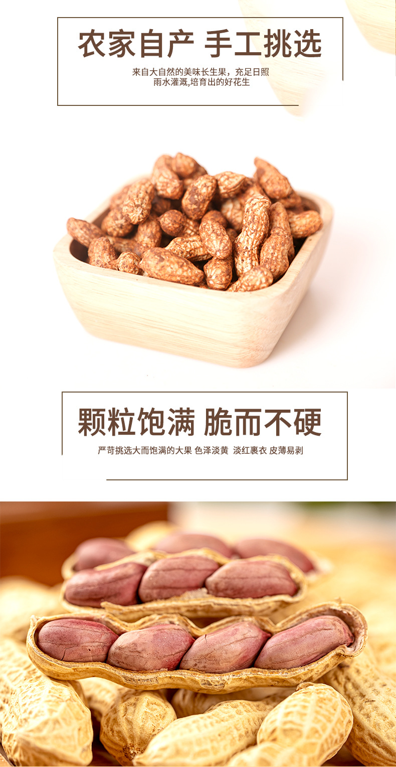 红衣花生_02.jpg