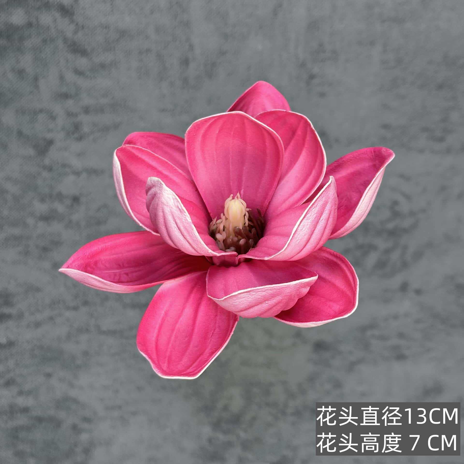 Flor de simulación transfronteriza EVA cabeza de magnolia 13cm tacto tocado kapok decoración decoración decoración flor falsa al por mayor