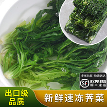 野菜馅速冻荠菜4斤冷冻新鲜野菜野荠菜馅馄饨饺子馅荠荠菜食材LD