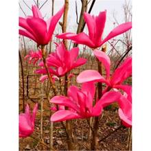 m玧mϱNֲͥԺļͺֲ