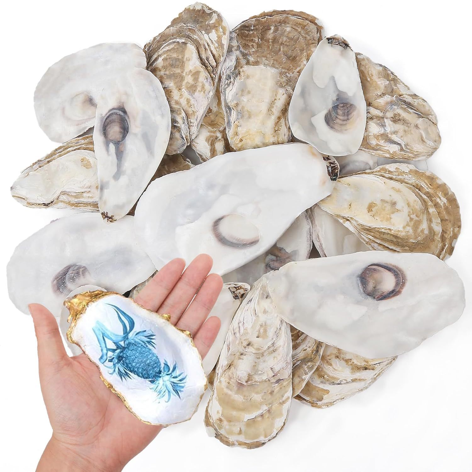 Graffiti Oyster Shell Crafts Christmas Decoration DIY Handicrafts Sea Shell Flat Concave Oyster Shell