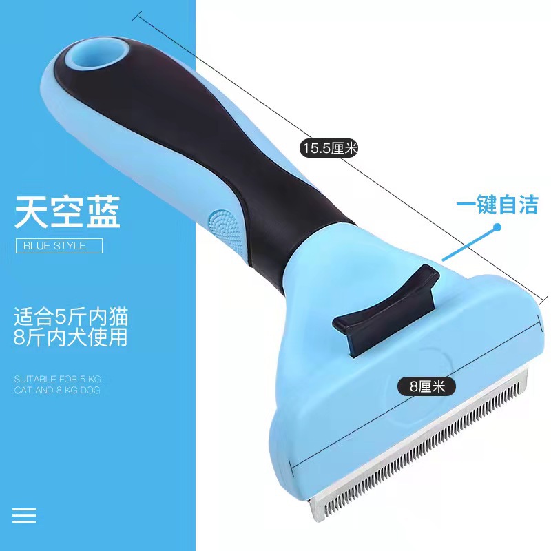 블루 미디엄 빗